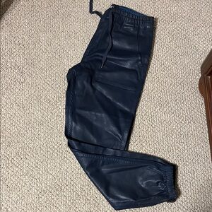 Hudson Vegan Leather Jeans Dark Blue Joggers